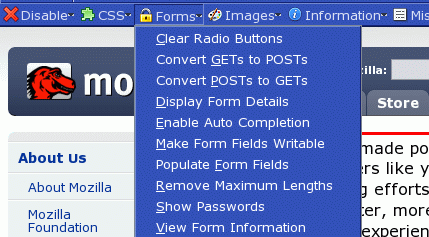 Mozilla Web Developer Extension