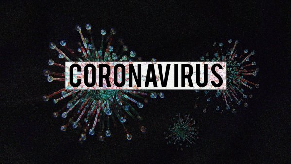 koronawirus, fot. olgalionart, pixabay