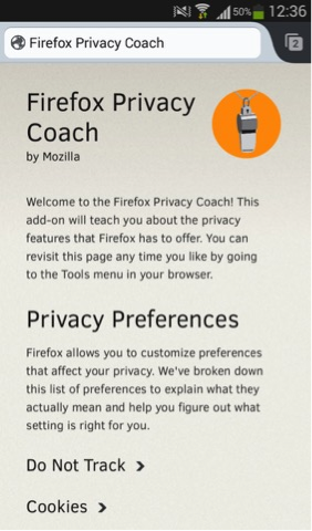 Jak chronić swoją prywatność w internecie - rys. 12