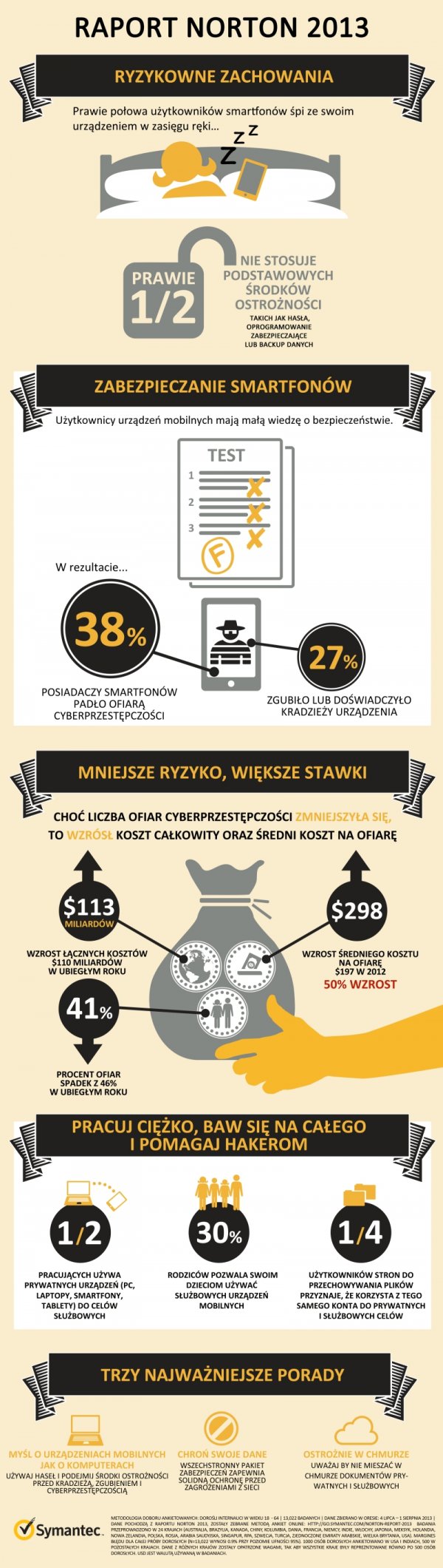 Raport Norton 2013 - infografika