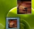 Windows Media Player w Windows 7