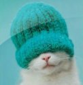 badcat