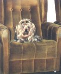 George