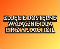Adaśko