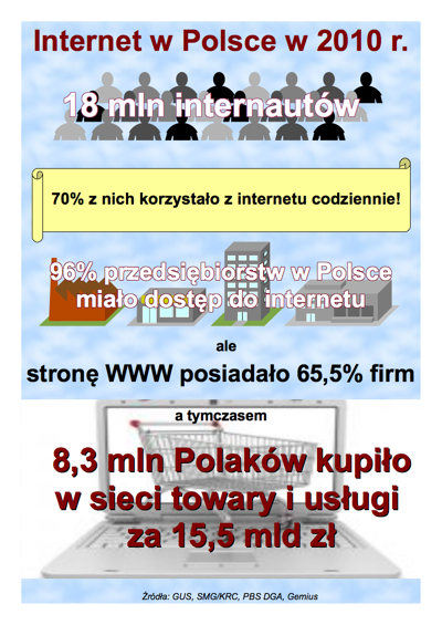 Internauci w Polsce w 2010 r.