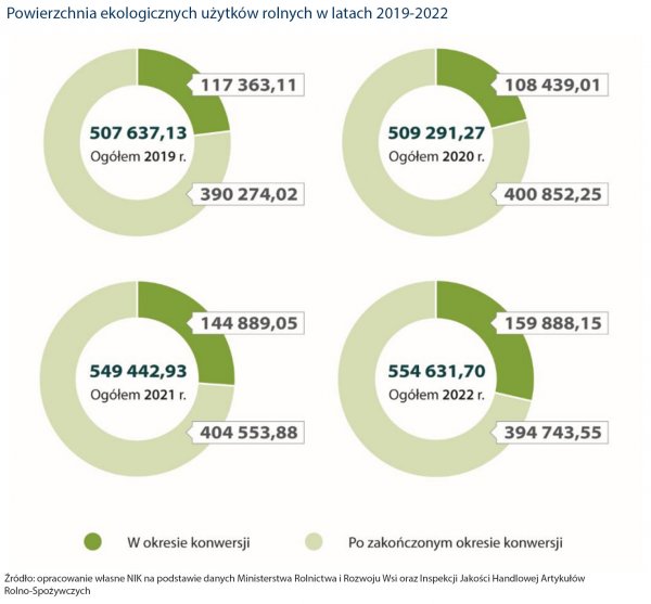 infografika