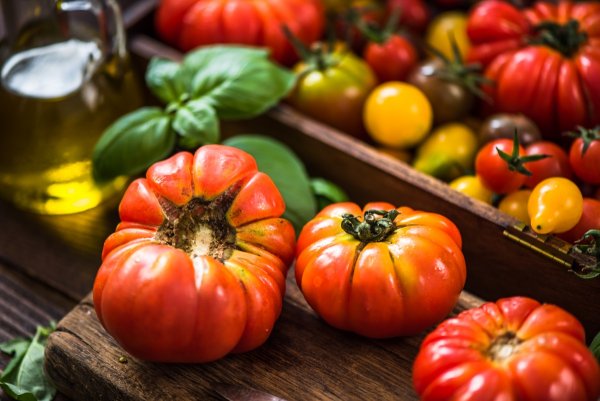 Sadzonki pomidorów online - wybierz rośliny do Twojego ogrodu, szklarni i na balkon