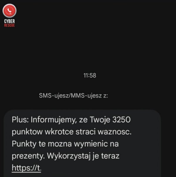 zrzut ekranu fałszywej wiadomości