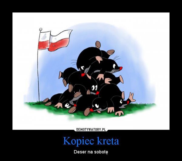 Euro 2012: Polska - Czechy