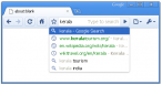 Nowy Omnibox w Google Chrome 3