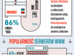 Infografika: Technologie internetowe w Polsce
