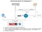 Struktura grupy po transakcji