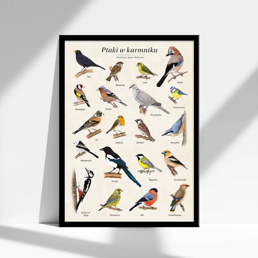 Grafika ptaki w karmniku