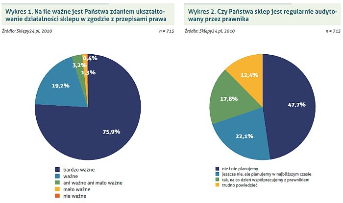raport e-Handel Polska 2010