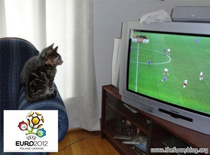 śmieszne zdjęcie, Euro 2012