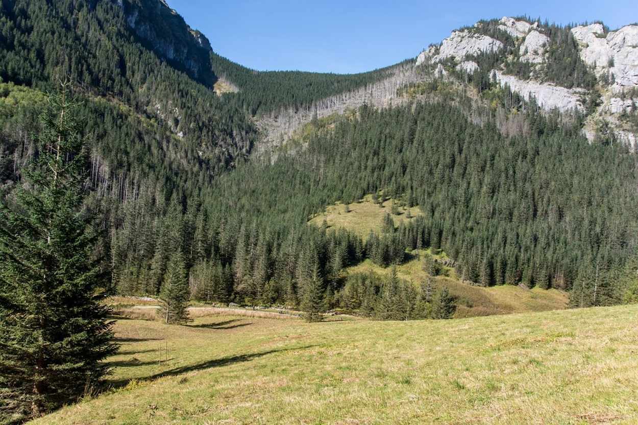 Wypoczynek bez tłumów: Dlaczego Kościelisko staje się alternatywą dla centrum Zakopanego