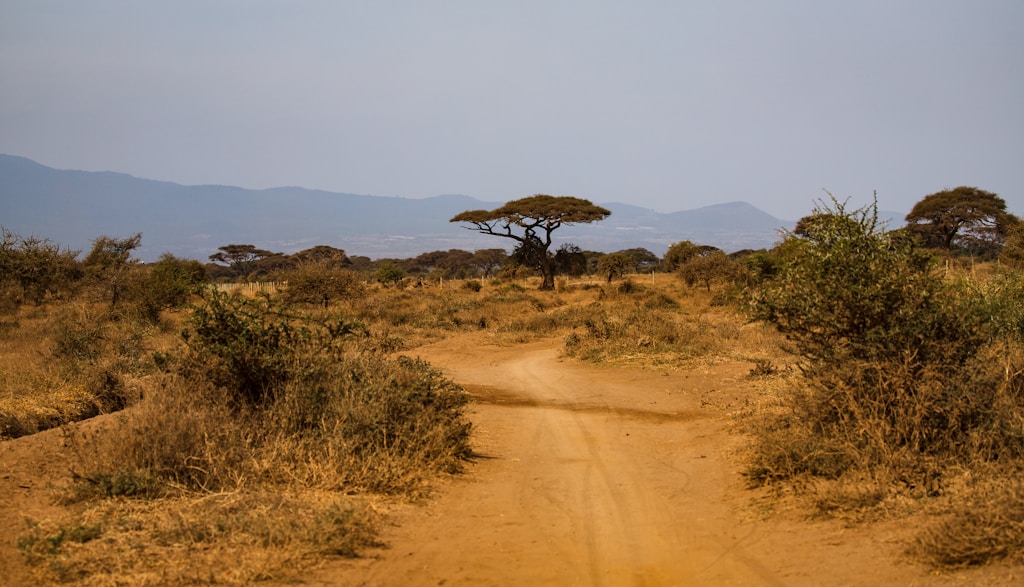 Jak zwiedzać Kenię: praktyczny przewodnik po niezwykłym kraju