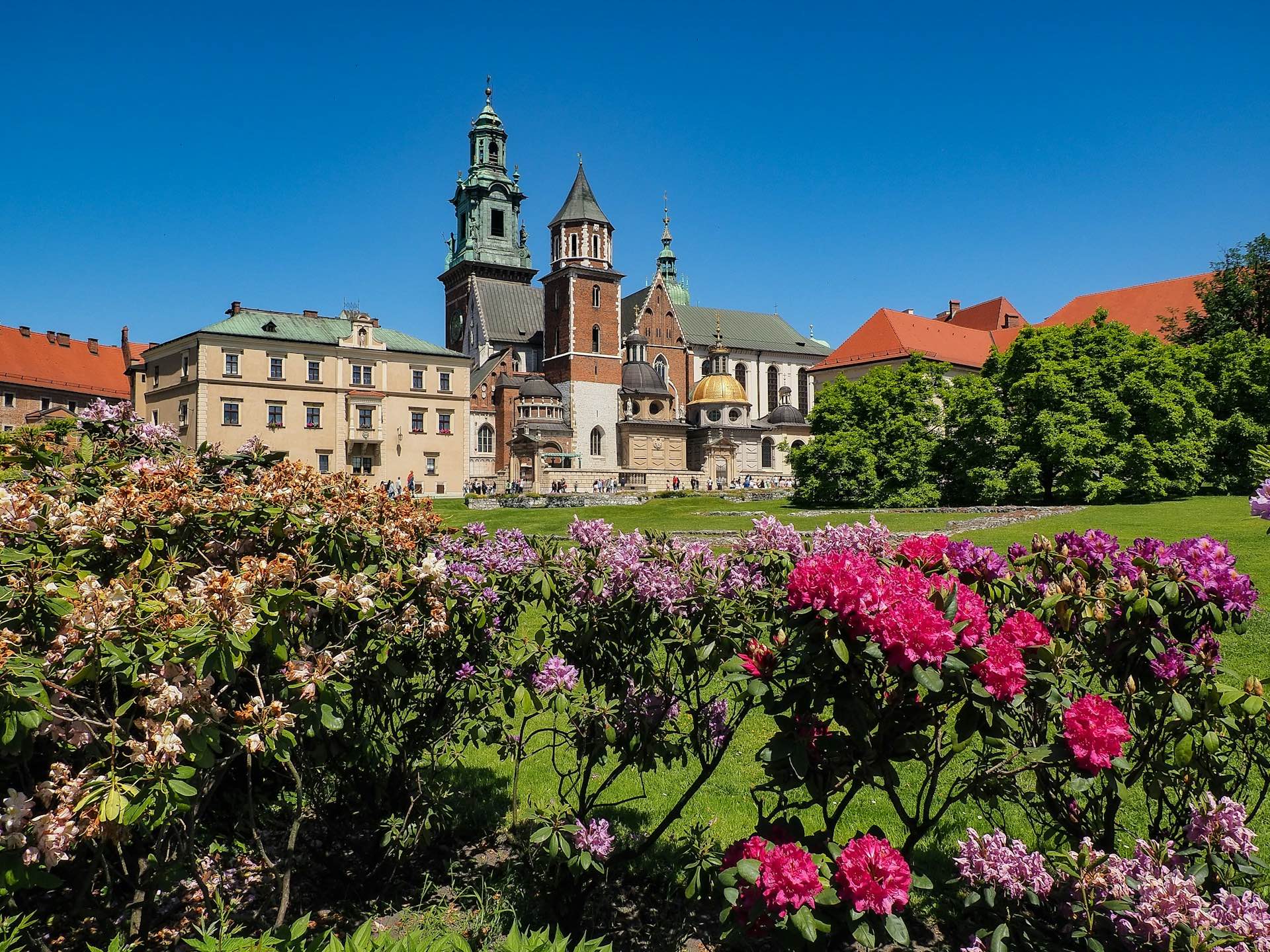 Kraków dla wymagających: Ciekawe miejsca i usługi w sercu Małopolski