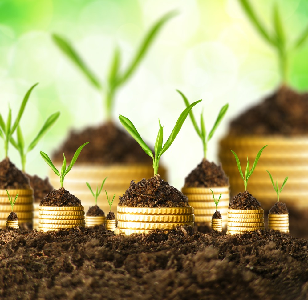 Inwestowanie po 40-tce: mit czy realna możliwość budowania kapitału?