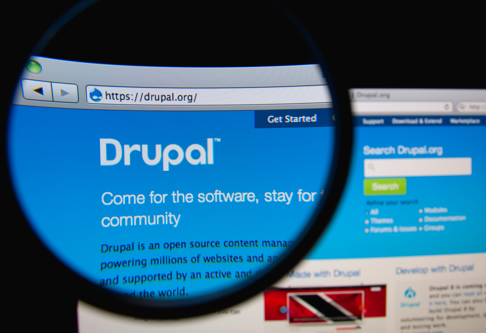 Drupal, fot. Gil C / Shutterstock.com