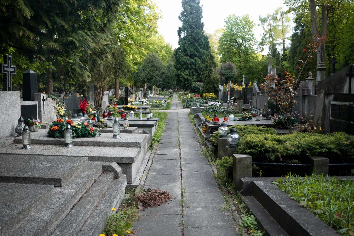 Coraz mniej miejsc na cmentarzach. Czy Polska stoi przed kryzysem cmentarnym?