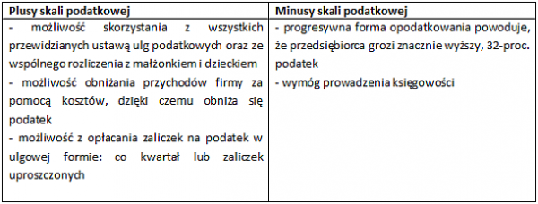 Plusy i minusy skali podatkowej