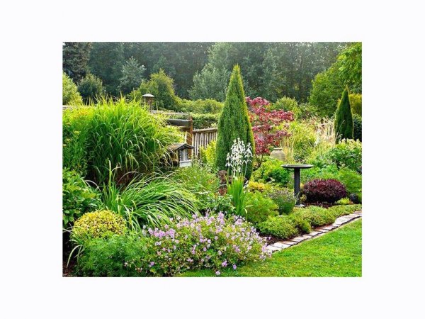 Zakładanie ogrodów: poznaj porady i sugestie architekta krajobrazu!
